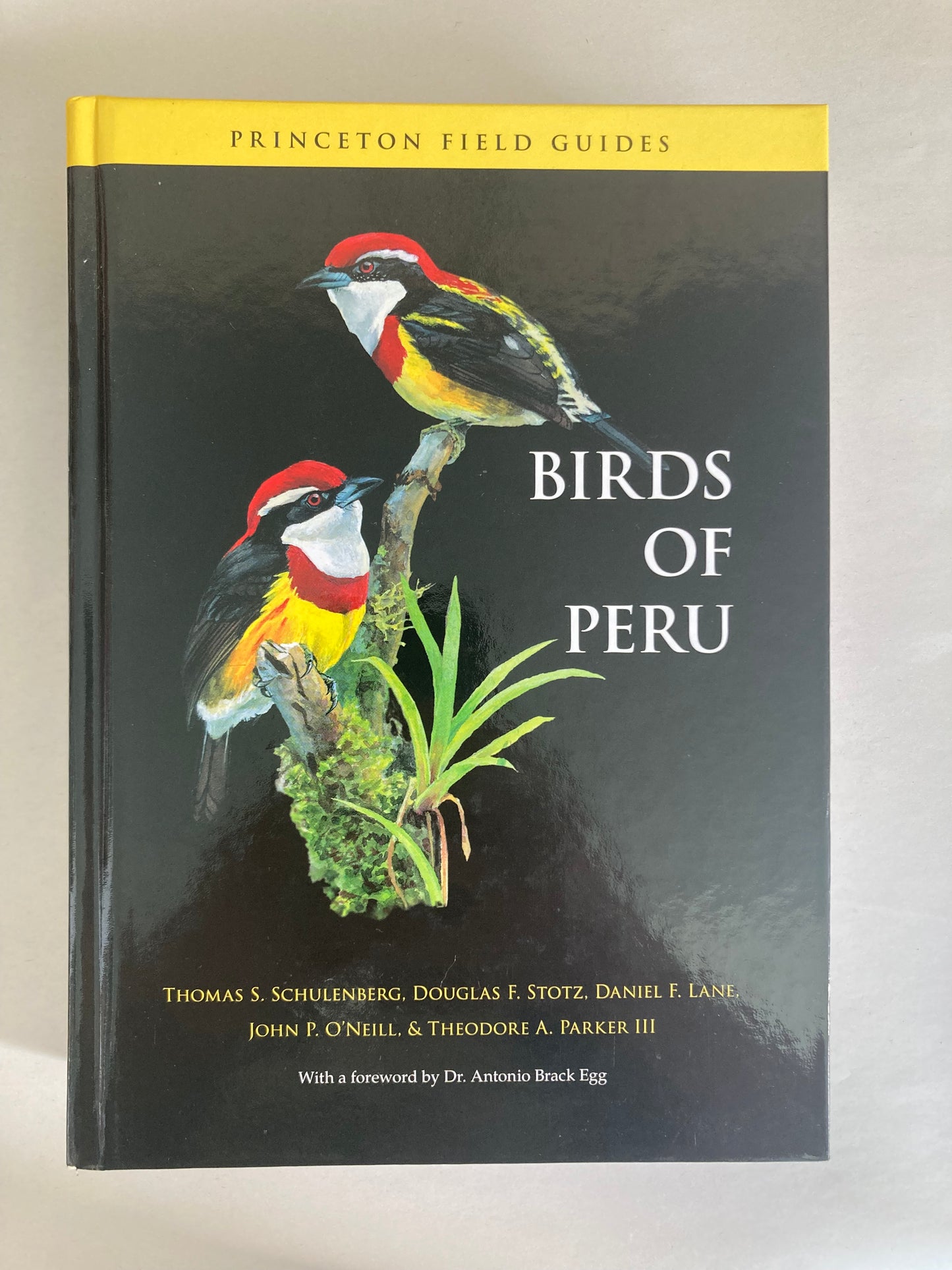 Birds of Peru