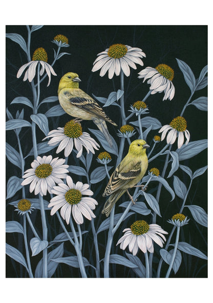 Notecard Set: Birds of a Feather