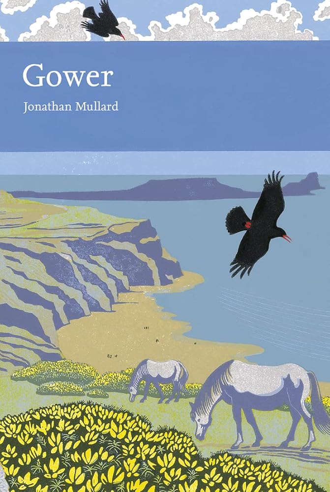 Gower (Collins New Naturalist) cover image