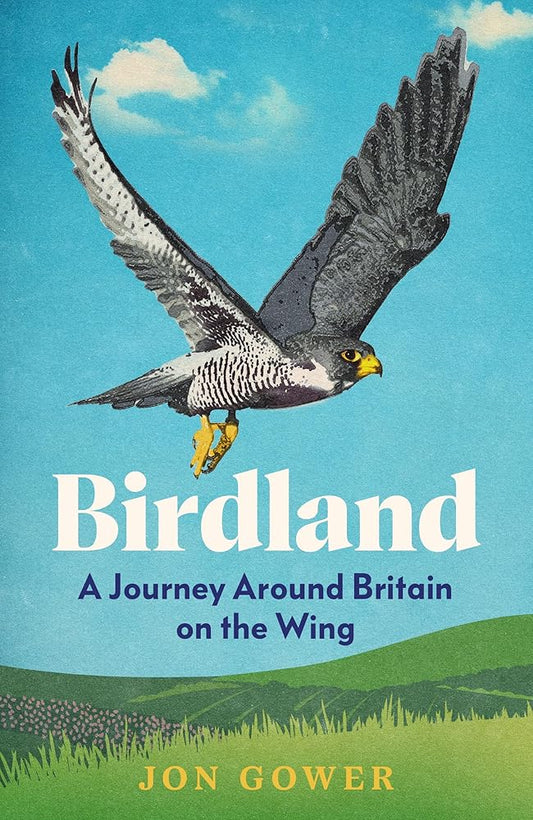Birdland: A Journey Around Britain on the Wing cover image