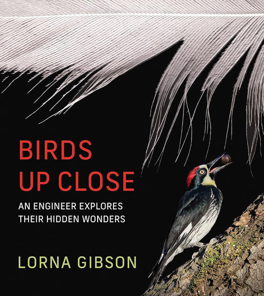 Birds Up Close: An Engineer Explores Their Hidden Wonders cover image