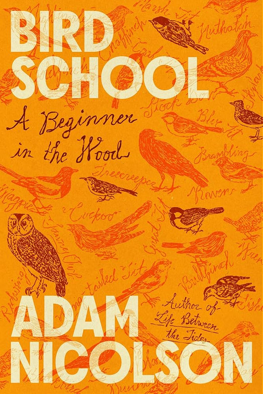 Bird School: A Beginner in the Wood cover image