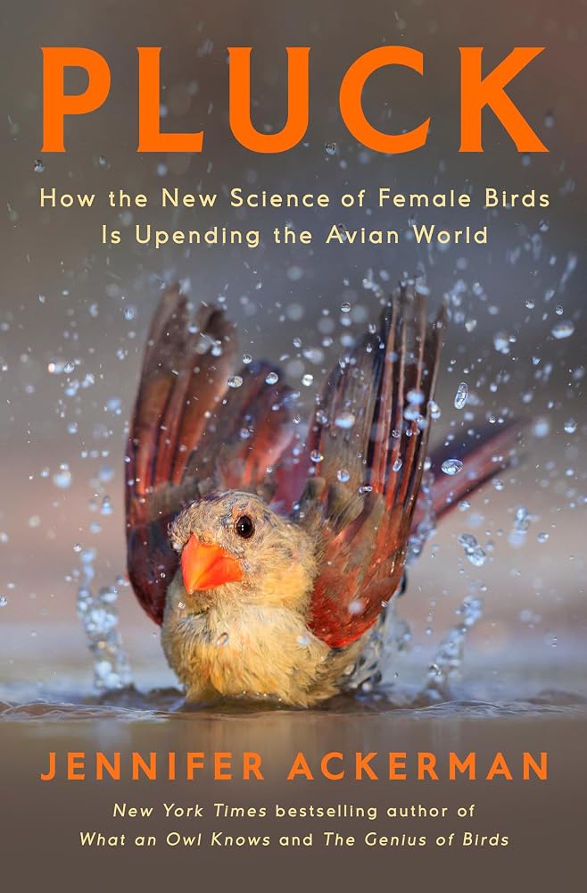 Pluck: How the New Science of Female Birds Is Upending the Avian World cover image