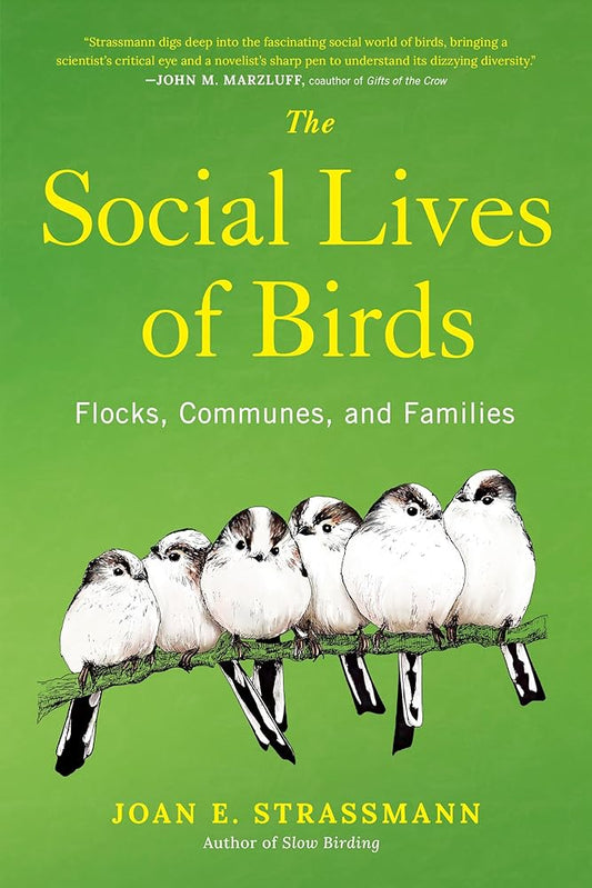 The Social Lives of Birds: Flocks, Communes, and Families cover image