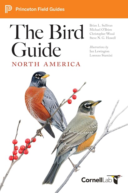The Bird Guide: North America [pre-order]