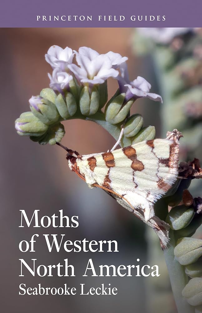 Moths of Western North America cover image