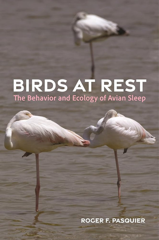 Birds at Rest: The Behavior and Ecology of Avian Sleep cover image