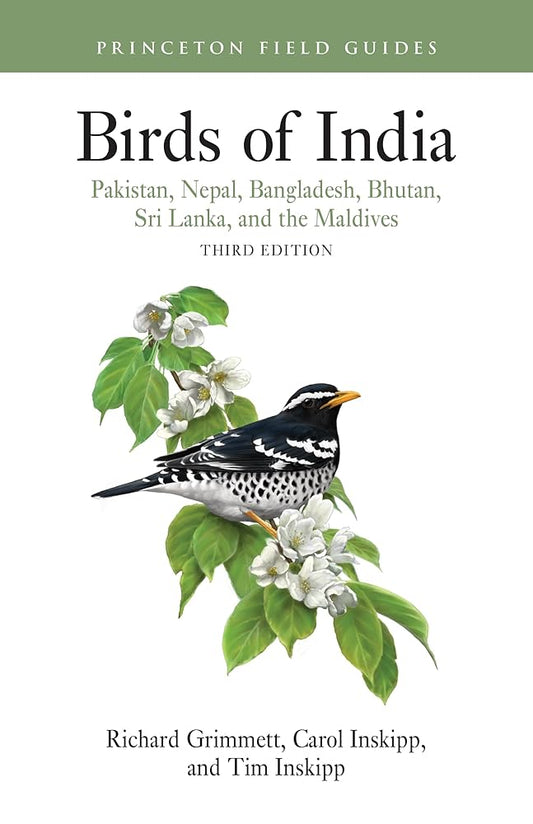 Birds of India: Pakistan, Nepal, Bangladesh, Bhutan, Sri Lanka, and the Maldives - Third Edition (Princeton Field Guides) cover image