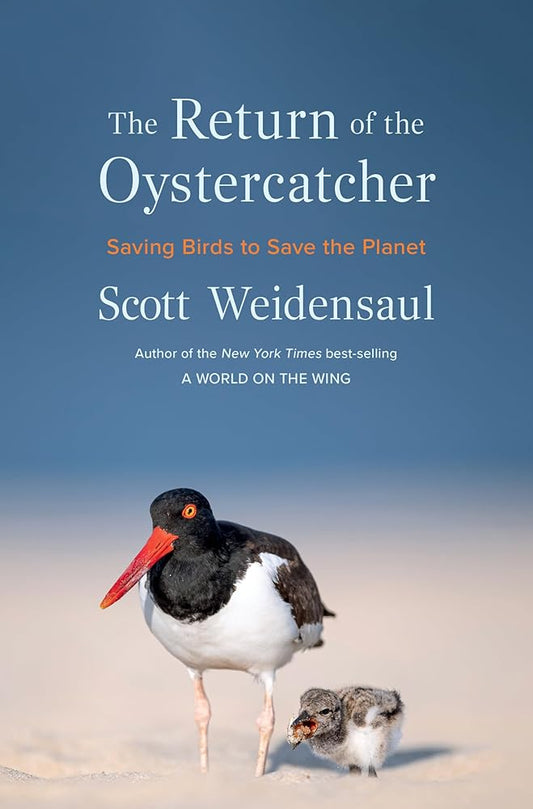The Return of the Oystercatcher: Saving Birds to Save the Planet cover image