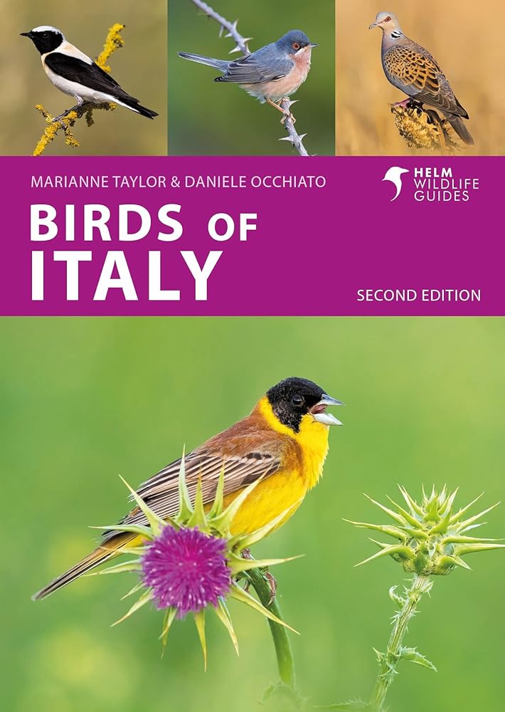 Birds of Italy: Second Edition (Helm Wildlife Guides) cover image