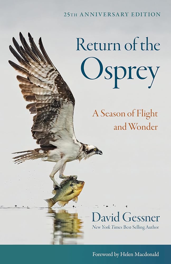 Return of the Osprey: A Season of Flight and Wonder cover image