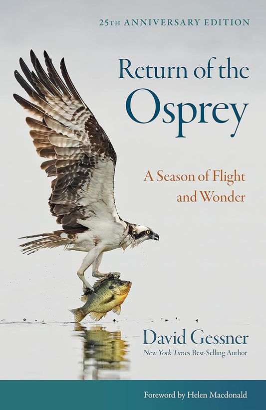 Return of the Osprey: A Season of Flight and Wonder cover image