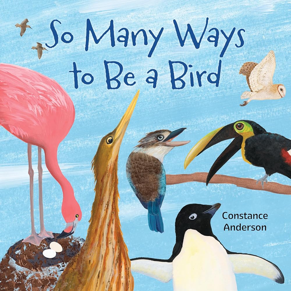 So Many Ways to Be a Bird cover image