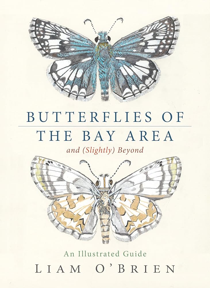 Butterflies of the Bay Area and (Slightly) Beyond: An Illustrated Guide cover image