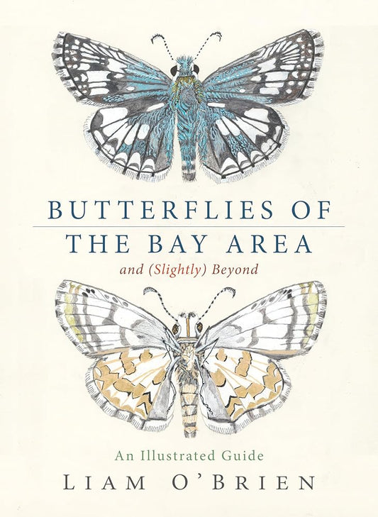 Butterflies of the Bay Area and (Slightly) Beyond: An Illustrated Guide cover image
