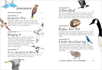 Bird Anatomy: The Curious Lives of the World's Feathered Creatures