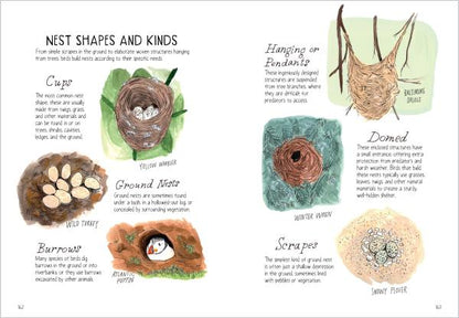 Bird Anatomy: The Curious Lives of the World's Feathered Creatures