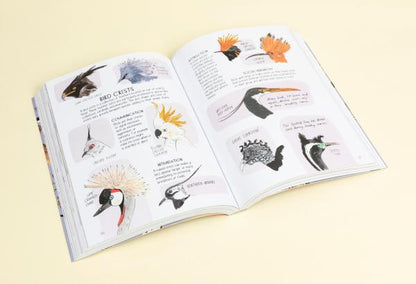 Bird Anatomy: The Curious Lives of the World's Feathered Creatures