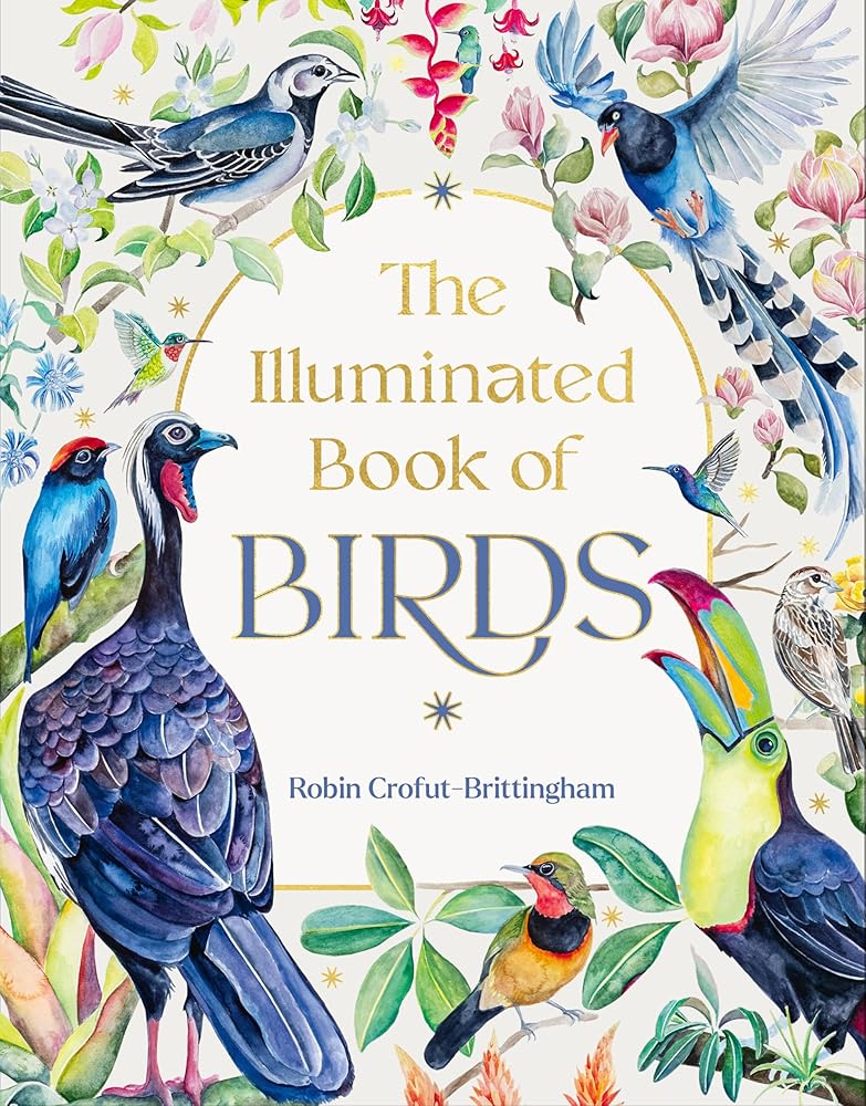The Illuminated Book of Birds cover image