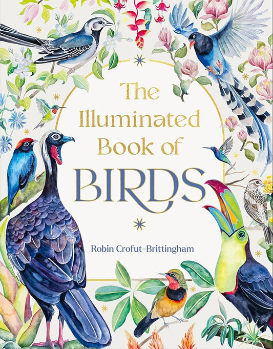 The Illuminated Book of Birds cover image