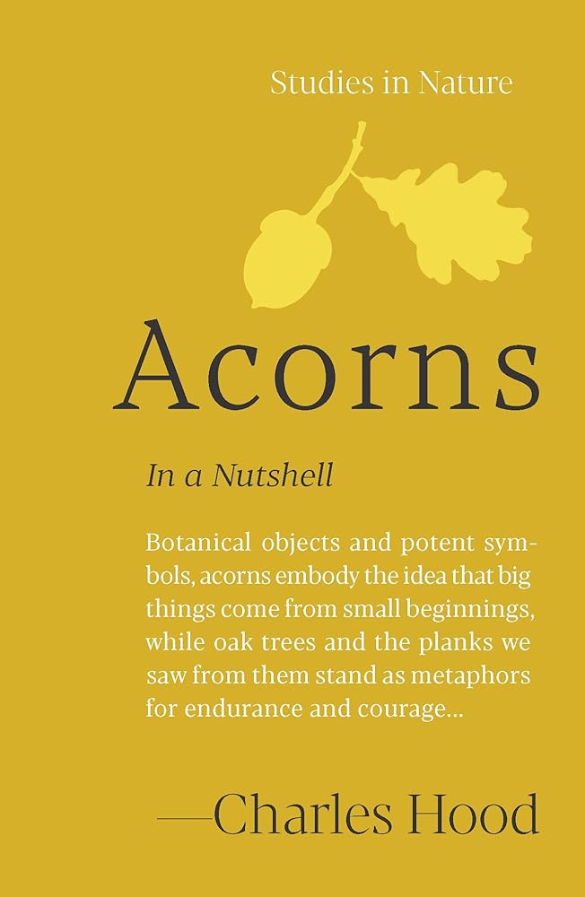 Acorns: In a Nutshell (Studies in Nature) cover image