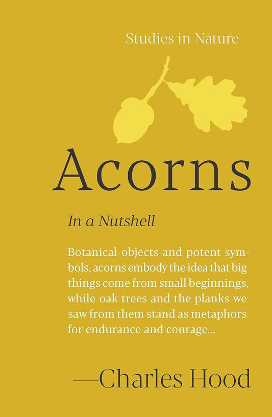 Acorns: In a Nutshell (Studies in Nature) cover image