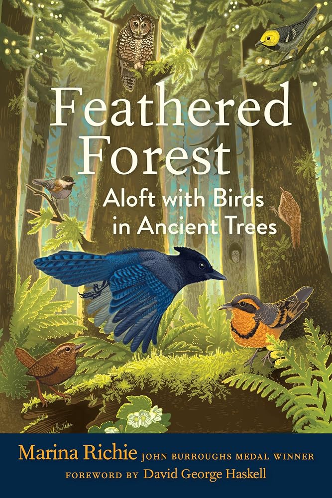 Feathered Forest: Aloft with Birds in Ancient Trees cover image