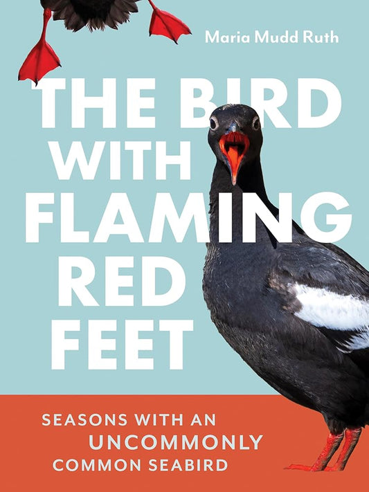 The Bird with Flaming Red Feet: Seasons with an Uncommonly Common Seabird cover image