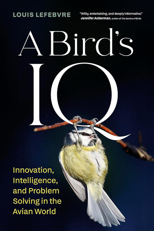 A Bird's IQ: Innovation, Intelligence, and Problem Solving in the Avian World cover image
