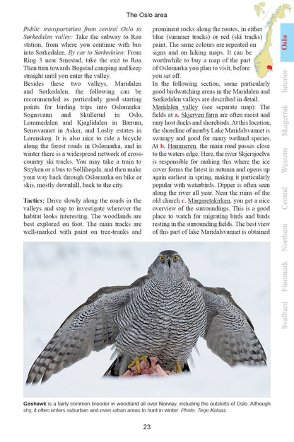 A Birdwatcher's Guide to Norway: Where, When and How to Find Scandinavia's Most Sought-after Birds