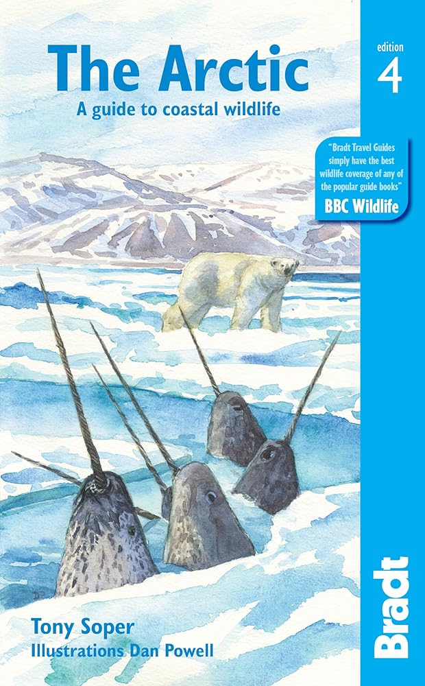 The Arctic: A guide to coastal wildlife cover image