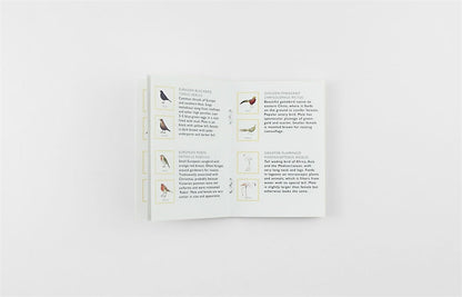 Match a Pair of Birds: A Memory Game