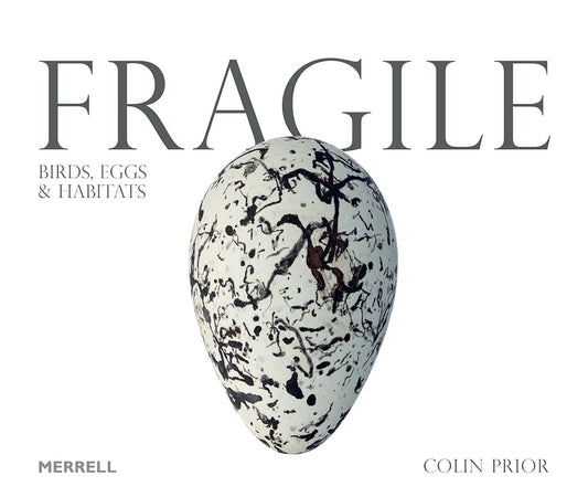 Fragile: Birds, Eggs and Habitats cover image