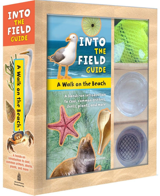 A Walk on the Beach: Into the Field Guide cover image