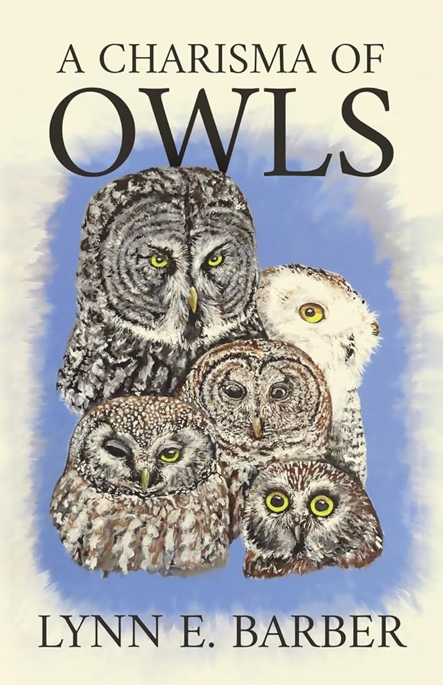 A Charisma of Owls cover image