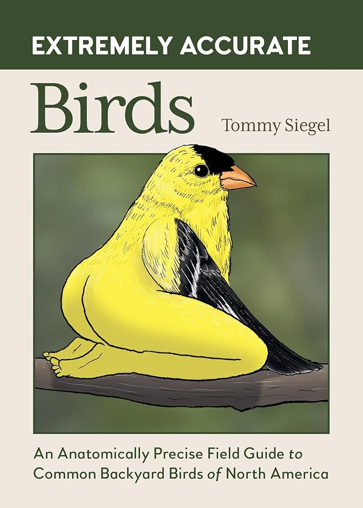 Extremely Accurate Birds: An Anatomically Precise Field Guide to Common Backyard Birds of North America cover image