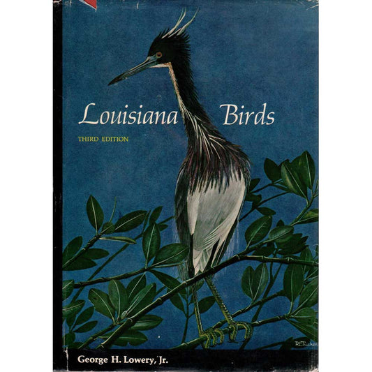 Louisiana Birds, Third Edition cover