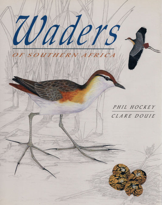 Book cover and/or sample page of Waders of Southern Africa