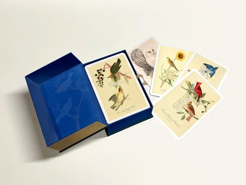 An Almanac of Birds: 100 Divinations for Uncertain Days