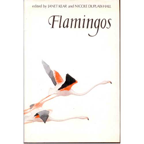 Book cover and/or sample page of Flamingos