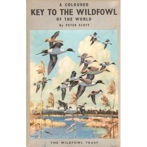 Book cover and/or sample page of A Coloured Key to the Wildfowl of the World