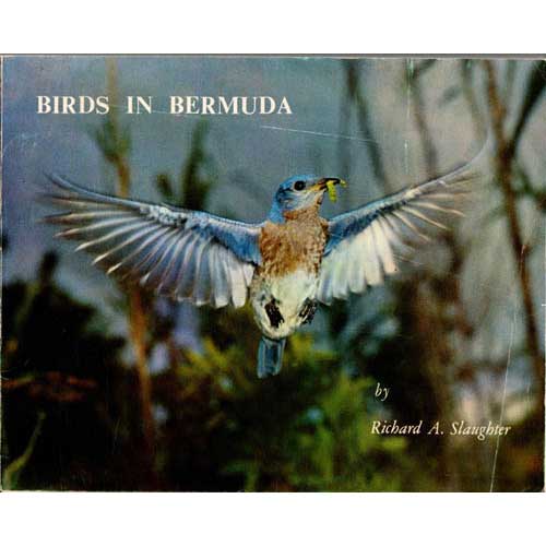 Book cover and/or sample page of Birds in Bermuda