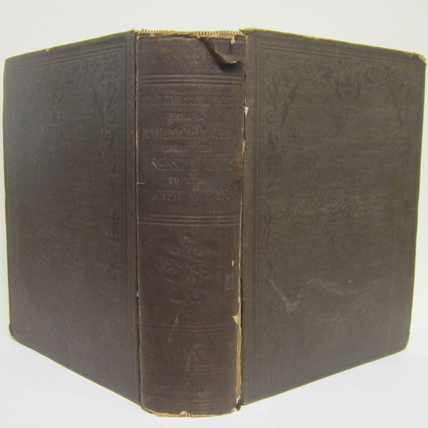 Book cover U.S. Pacific Railroad Surveys: Reports of Explorations and Surveys. Volume IX, Part II. Birds