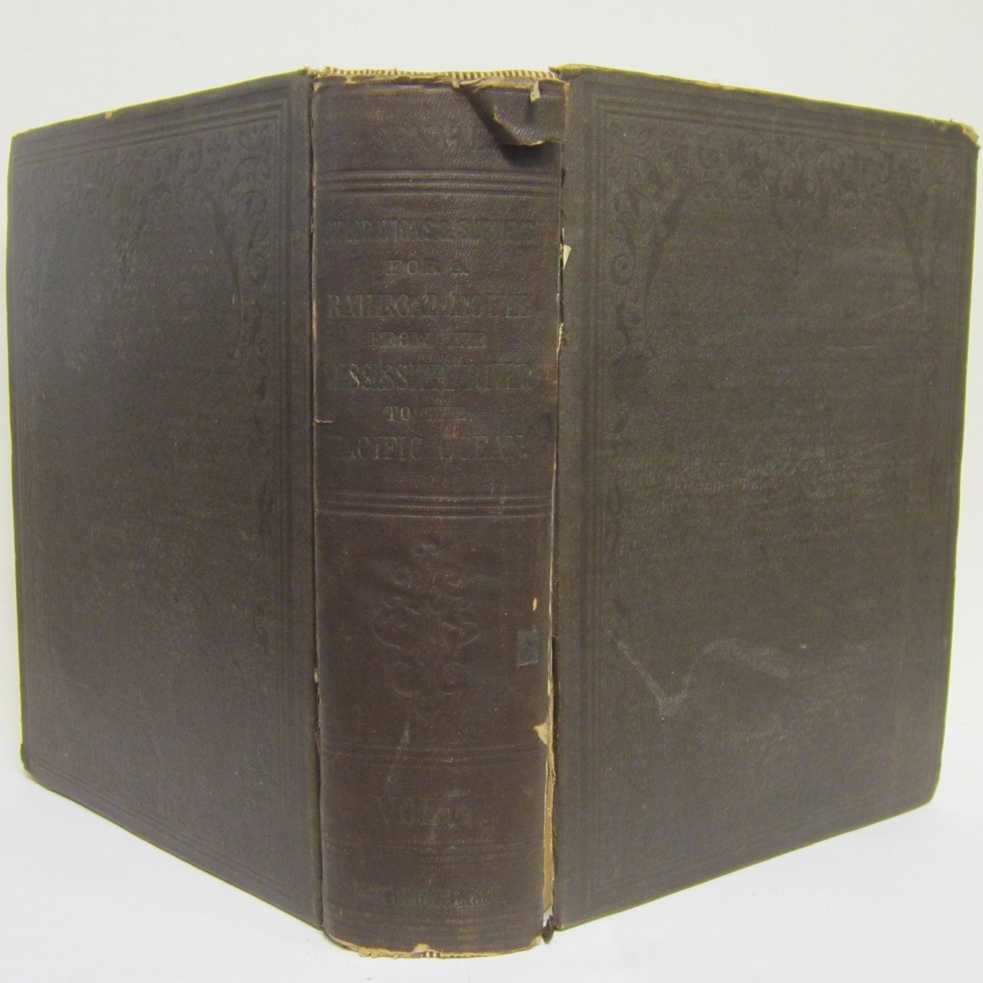 Book cover U.S. Pacific Railroad Surveys: Reports of Explorations and Surveys. Volume IX, Part II. Birds