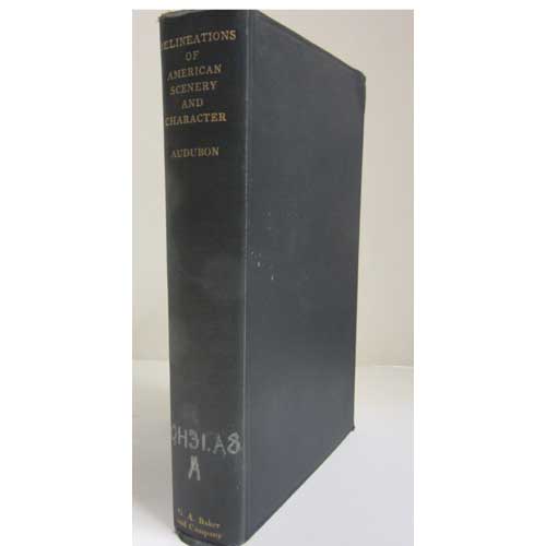 Book cover and/or sample page of Delineations of American Scenery and Character