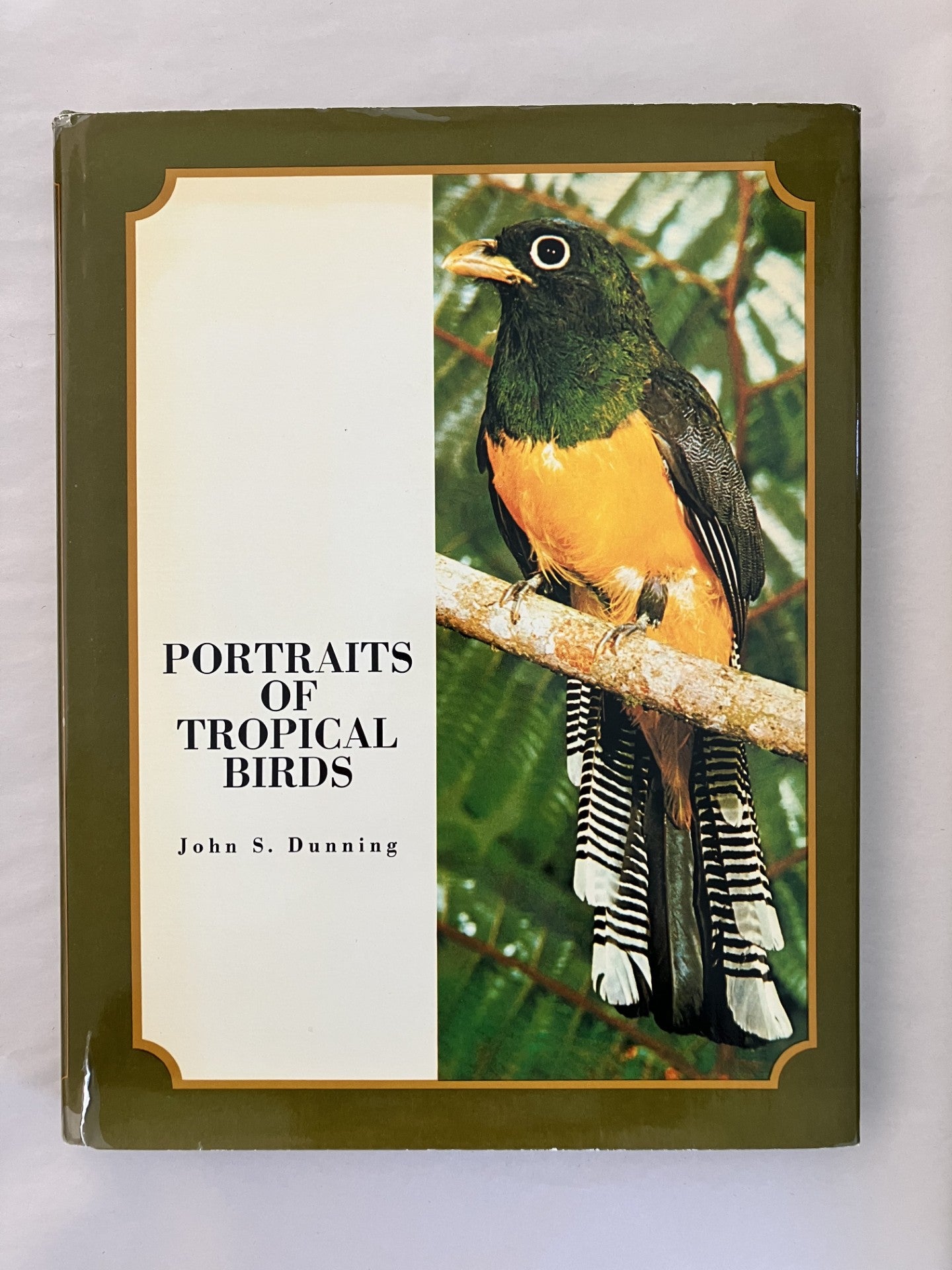 Portraits of Tropical Birds