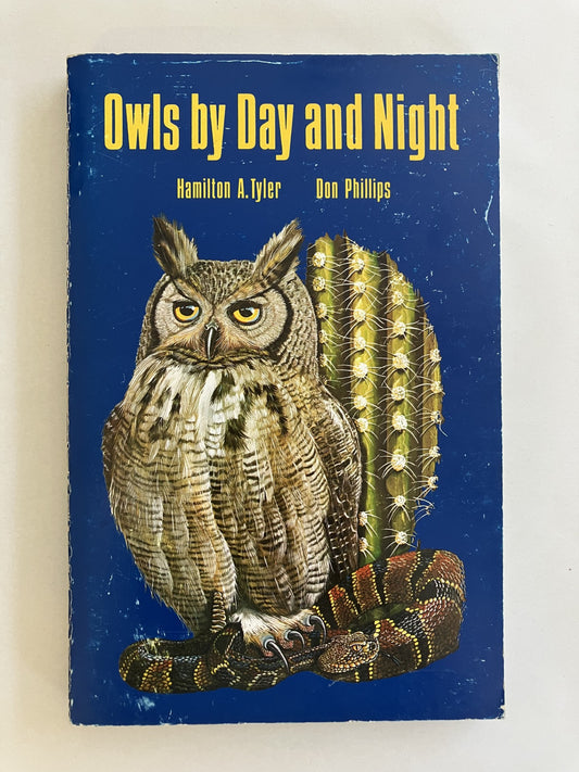 Owls by Day and Night
