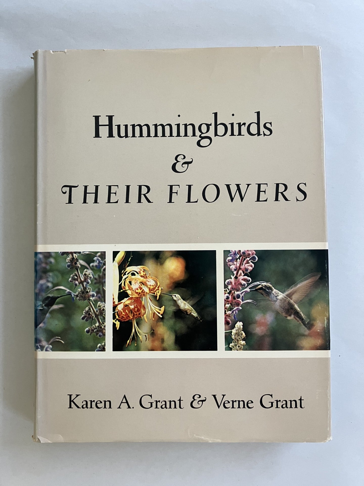 Hummingbirds and Their Flowers