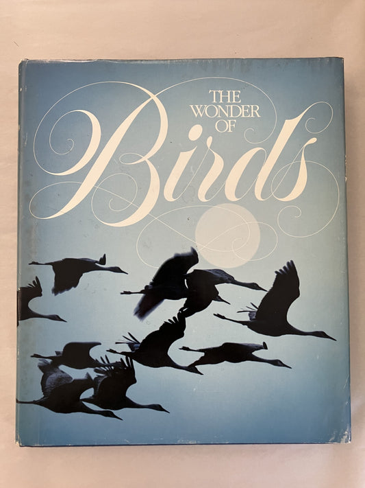 The Wonder of Birds