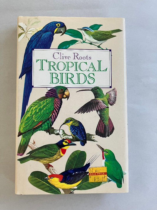 Tropical Birds